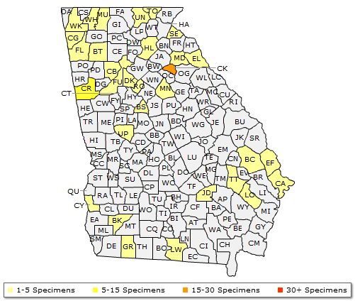 The range of Amelanchier arborea